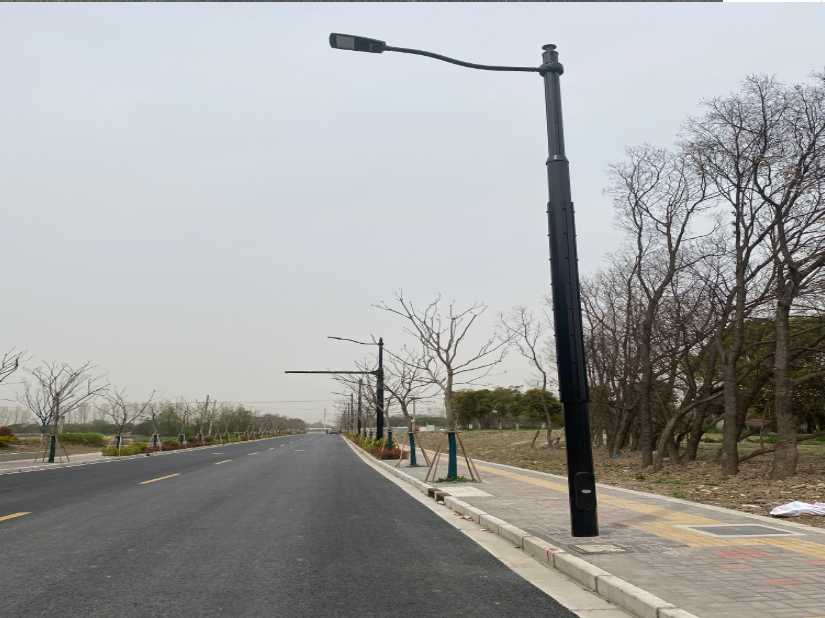 全南县上海综合杆 太阳能路灯工程